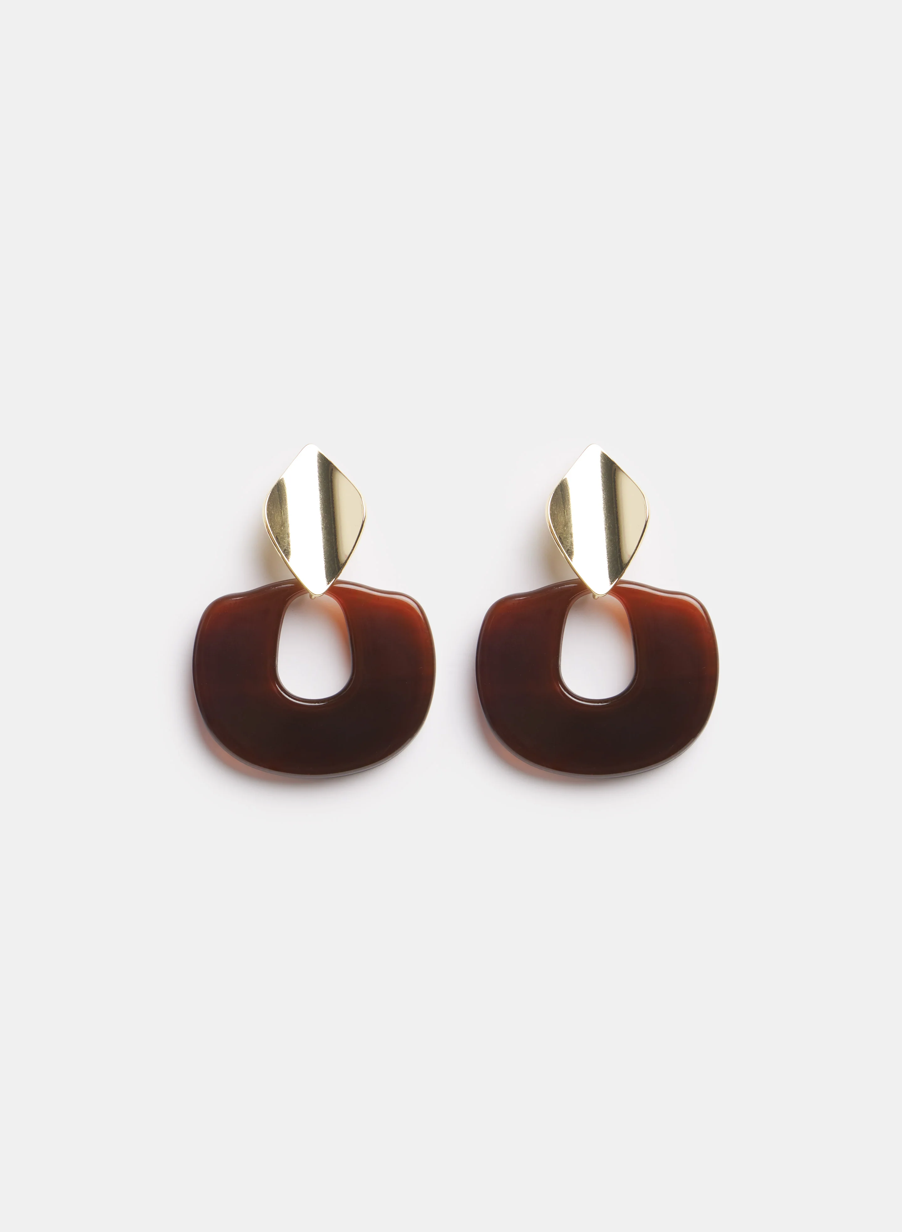 Resin & Brass Earrings